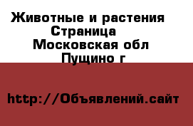  Животные и растения - Страница 6 . Московская обл.,Пущино г.